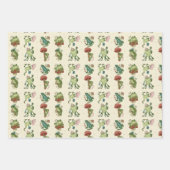 Kikker van de katoenkern met paddenstoel inpakpapier vel (Voorkant 3)