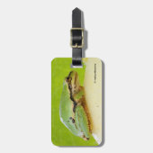 Kikker van de Pacifische pekel op de zomerpomp Bagagelabel (Voorkant verticaal)