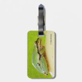 Kikker van de Pacifische pekel op de zomerpomp Bagagelabel (Achterkant verticaal)