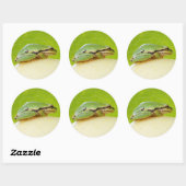 Kikker van de Pacifische pekel op de zomerpomp Ronde Sticker (Vel)