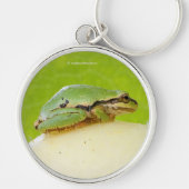 Kikker van de Pacifische pekel op de zomerpomp Sleutelhanger (Voorkant)