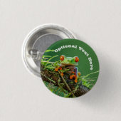 Kikker van de rode ogen op een tak ronde button 3,2 cm (Voorkant /achterkant)