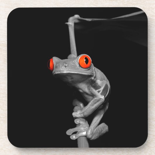 Kikker van de rode oogboom bier onderzetter (Voorkant)