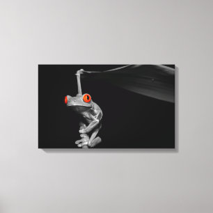 Kikker van de rode oogboom canvas afdruk