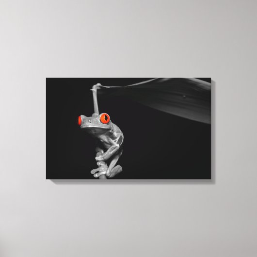 Kikker van de rode oogboom canvas afdruk (Voorkant)