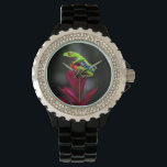 Kikker van de rode oogboom horloge<br><div class="desc">Tom Norring / DanitaDelimont.com | Midden-Amerika, Costa Rica | Kikker met rode ogen. Sarapiqui. Costa Rica. Midden-Amerika.</div>