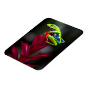 Kikker van de rode oogboom magneet (Linkerzijde)