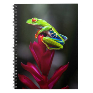 Kikker van de rode oogboom notitieboek