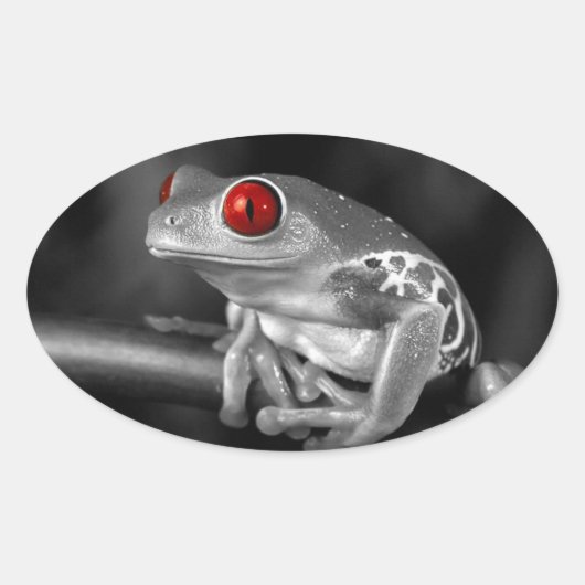 Kikker van de rode oogboom ovale sticker (Voorkant)