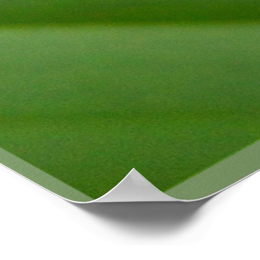 Kikker van de rode oogboom poster (Hoek)