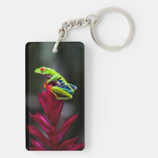 Kikker van de rode oogboom sleutelhanger (achterkant)