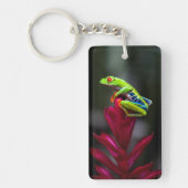 Kikker van de rode oogboom sleutelhanger (Voorkant)