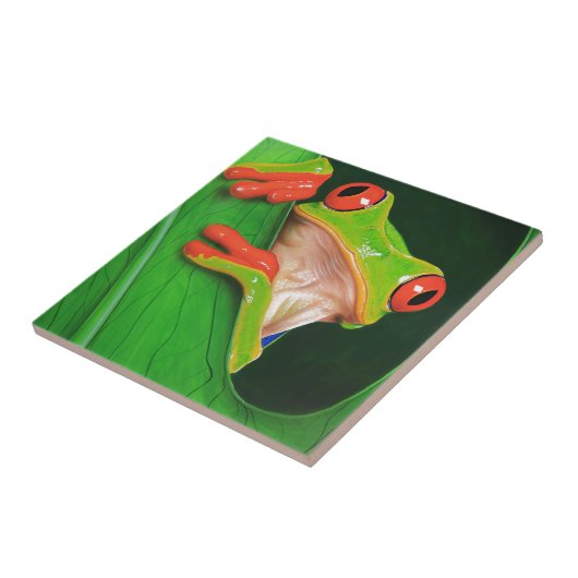 Kikker van de rode oogboom tegeltje (Zijkant)