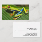 Kikker van de rode oogboom visitekaartje (Voorkant / Achterkant)