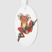 Kikker van de rode rode boom met oogbril op wit ornament (voorkant)