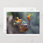 Kikker van John Remar Jr. Briefkaart (Voorkant / Achterkant)