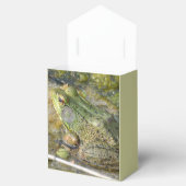 Kikker Verjaardagsfeestje Kinder Jongen Dier Bedankdoosjes (Geopend)