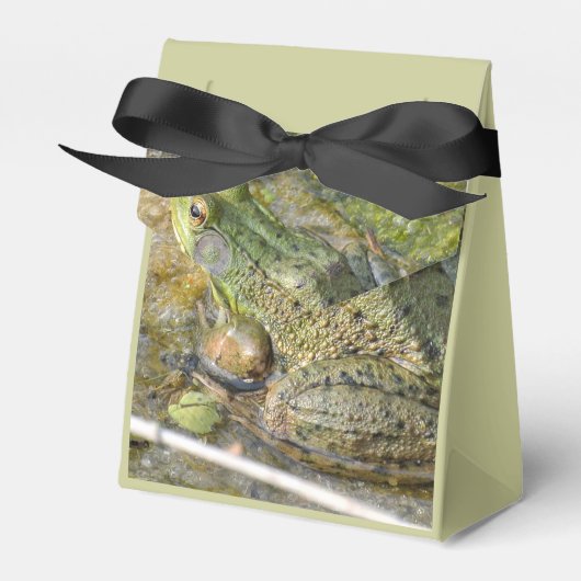 Kikker Verjaardagsfeestje Kinder Jongen Dier Bedankdoosjes (Voorkant Zijde)