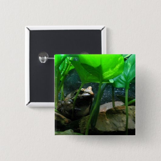 Kikker Vierkante Button 5,1 Cm (Voorkant /achterkant)