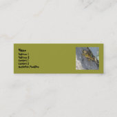 Kikker-Visitekaartjes Mini Visitekaartje (Voorkant)