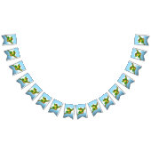 Kikker Vlaggetjes (Alle)