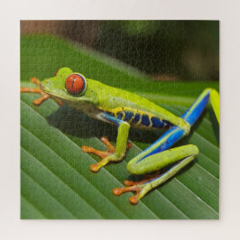 Kikker voor kleurrijke bomen legpuzzel