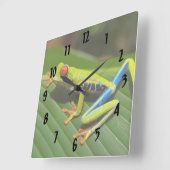 Kikker voor kleurrijke bomen vierkante klok (Hoek)