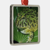  kikker voor paarden (Ceratophrys ornata), Metalen Ornament (Rechts)