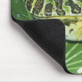  kikker voor paarden (Ceratophrys ornata), Muismat (Hoek)