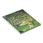  kikker voor paarden (Ceratophrys ornata), Notitieblok (Schuin)