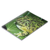  kikker voor paarden (Ceratophrys ornata), Notitieboek (Linkerzijde)