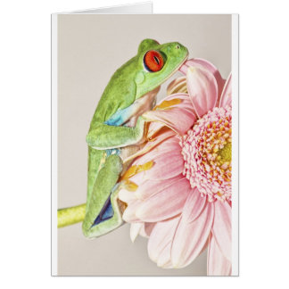 Kikker voor rode ogen