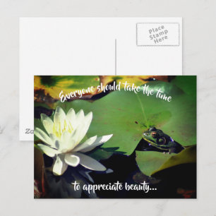 Kikker Water Lily Beauty Inspirerend Briefkaart