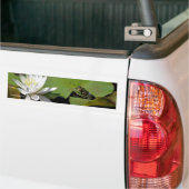 Kikker Water Lily Flower Photo Bumpersticker (Op Truck)