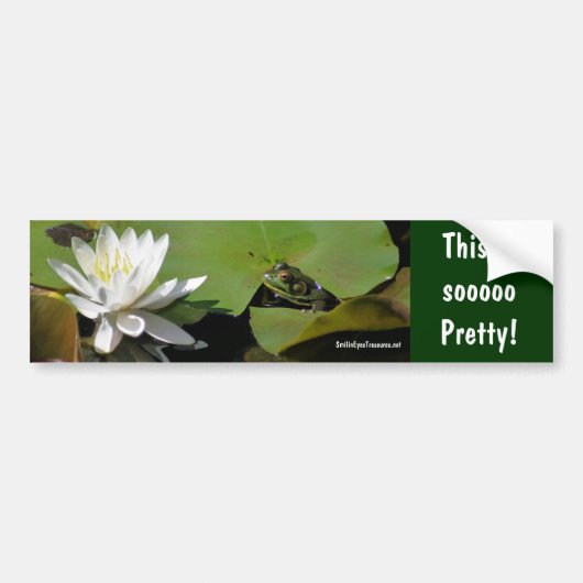 Kikker Water Lily Inspirerend Bumpersticker (Voorkant)