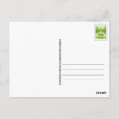 Kikker Yoga Briefkaart (Achterkant)