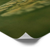 Kikker zit in het water poster (Hoek)