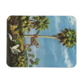 Kikkerachtige uitkijk - magneet (Horizontaal)