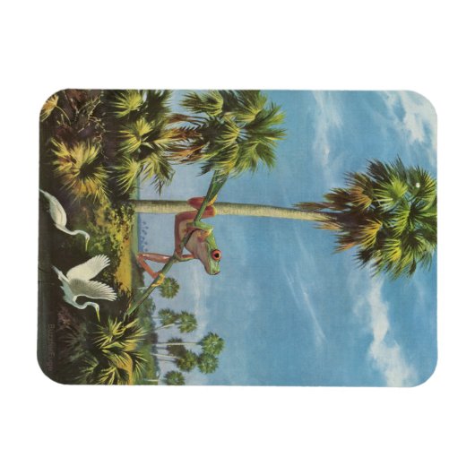 Kikkerachtige uitkijk - magneet (Horizontaal)