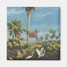 Kikkerachtige uitkijk - magneet