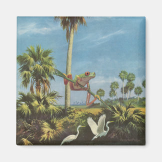 Kikkerachtige uitkijk - magneet