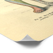 kikkerbeen Nerve Innervation Print (Hoek)