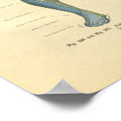 kikkerbeen Nerve Innervation Print (Hoek)