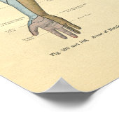  kikkerboog Nerve-ventilatie-afdruk Poster (Hoek)