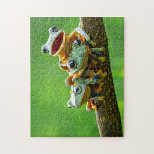 Kikkerbroeken, puzzle legpuzzel (Verticaal)