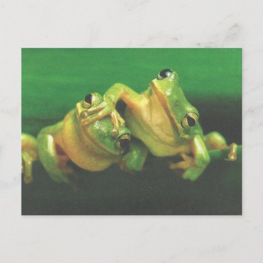 Kikkerbroers briefkaart (Voorkant)