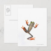 Kikkerbuis Briefkaart (Voorkant / Achterkant)