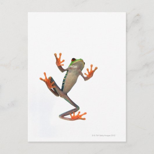 Kikkerbuis Briefkaart (Voorkant)