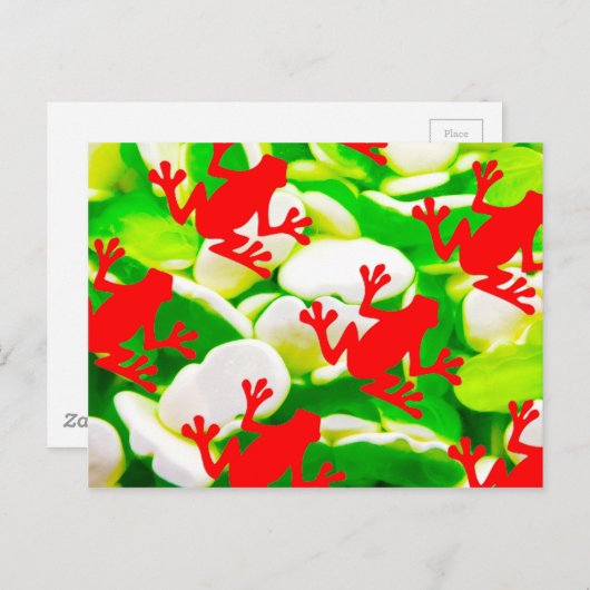 Kikkerdoos Briefkaart (Voorkant / Achterkant)