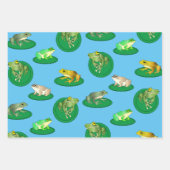 Kikkerdozen met papierverzameling inpakpapier vel (Voorkant 3)